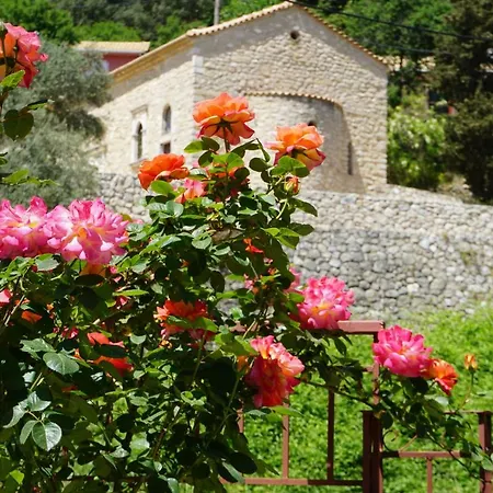 Peonia Flower House