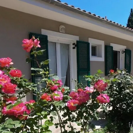 Apartament Peonia Lefkas Flower
