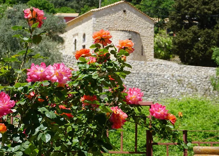 Peonia Flower House