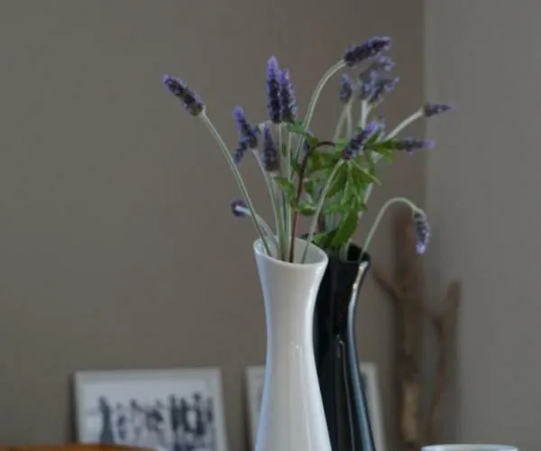 Peonia Flower House דירה *